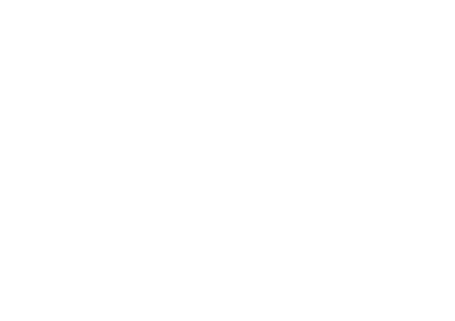 Automotive Museum Guide
