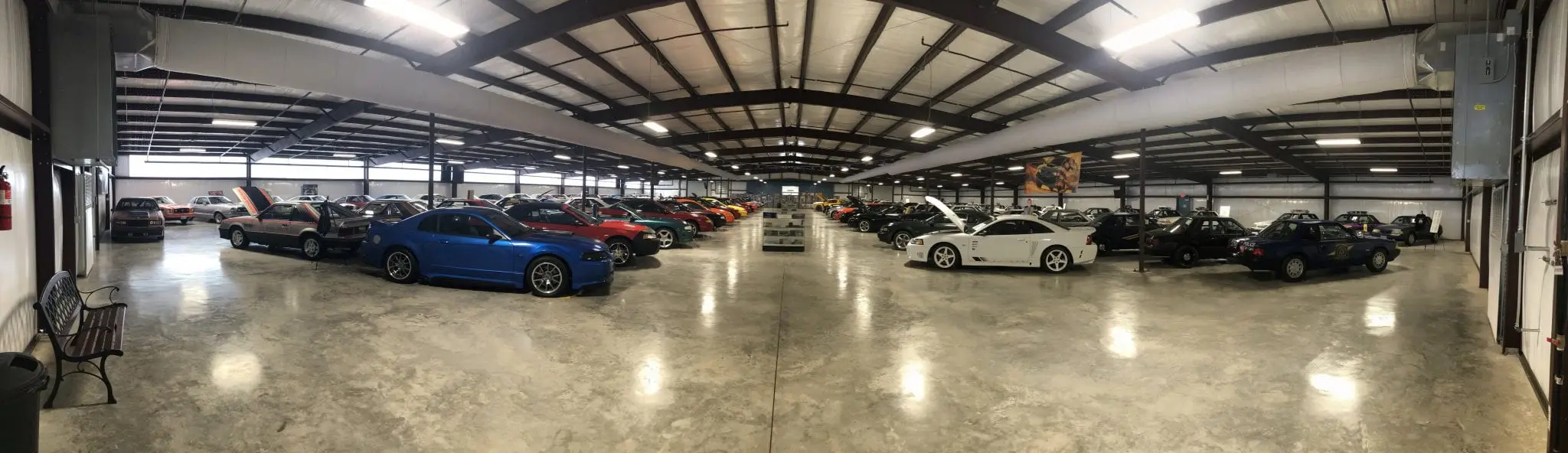 Mustang Museum of America